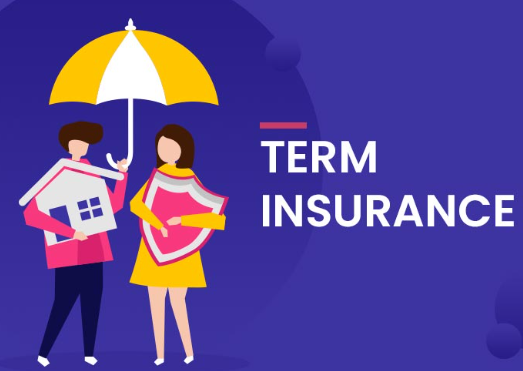 Term insurance vs life insurance: which one do you need?
